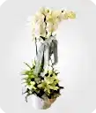 Design Flower with Orchid