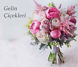 Gelin Çiçekleri