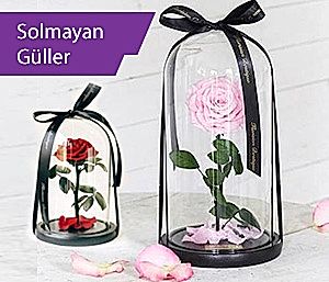 Solmayan Gül
