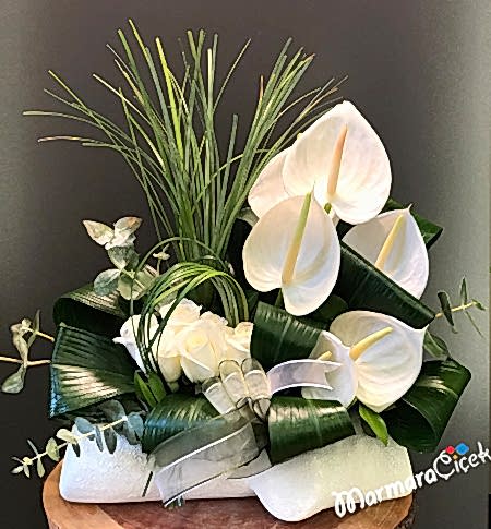 Asil Beyaz Çiçekler