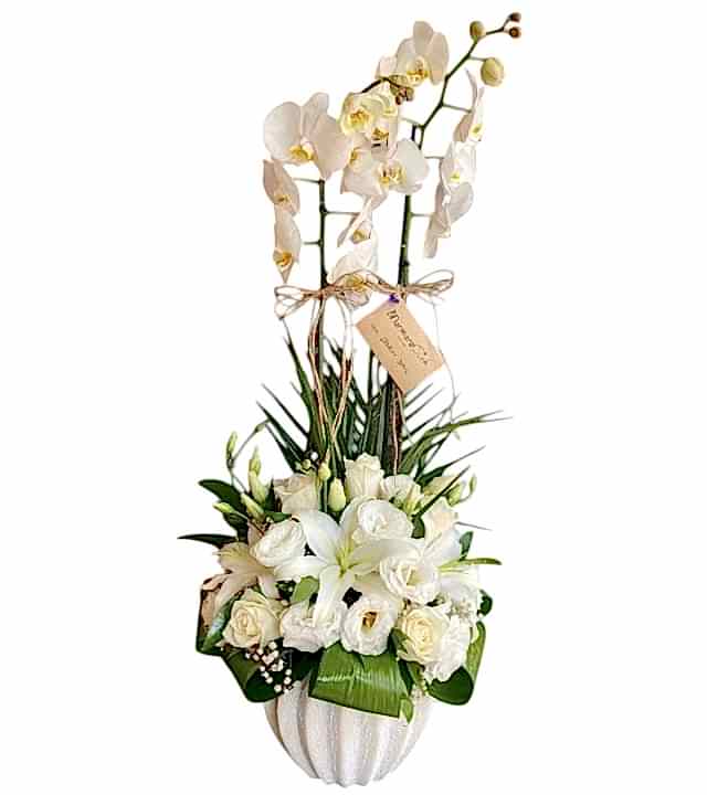 Beyaz Orkide Aranjman