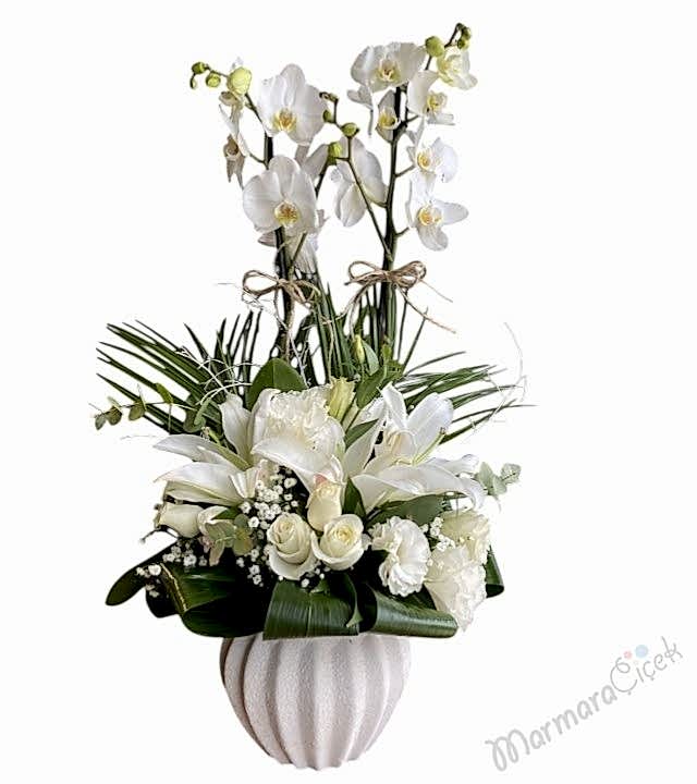 Beyaz Orkide Aranjman