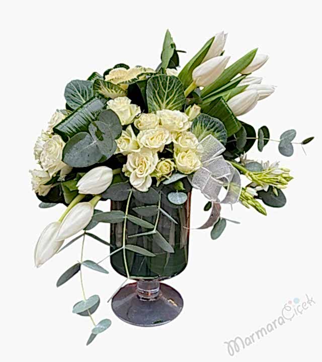 Beyazın Asaleti Aranjman 