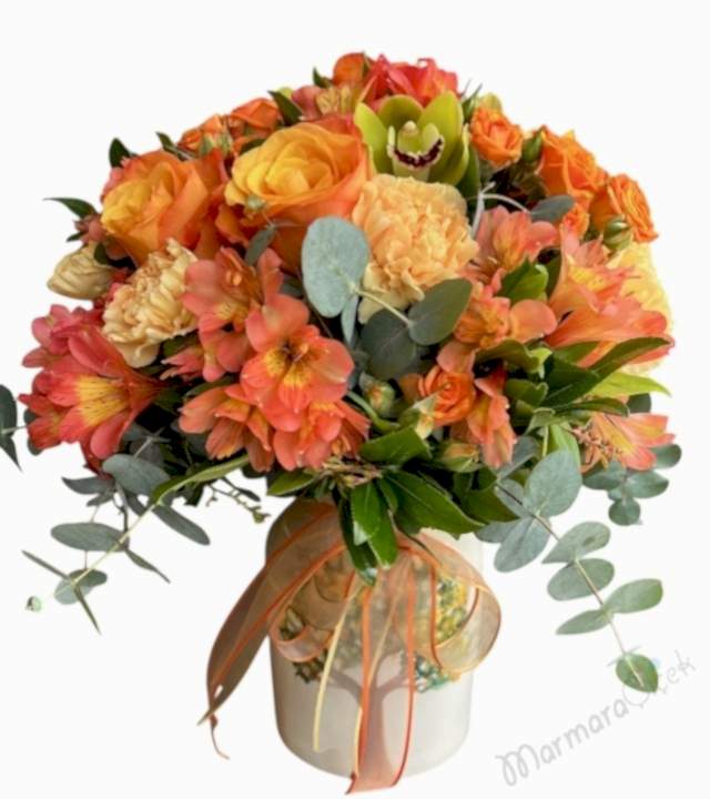 Kış Güneşi Aranjman