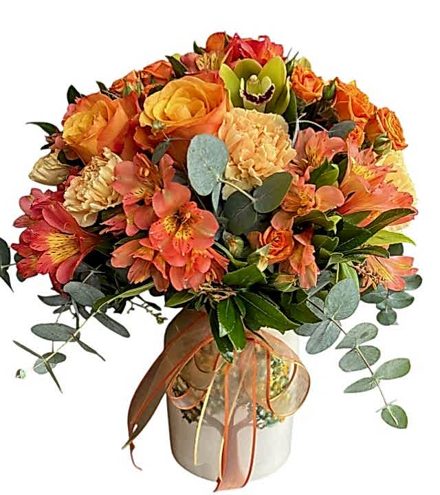 Kış Güneşi Aranjman