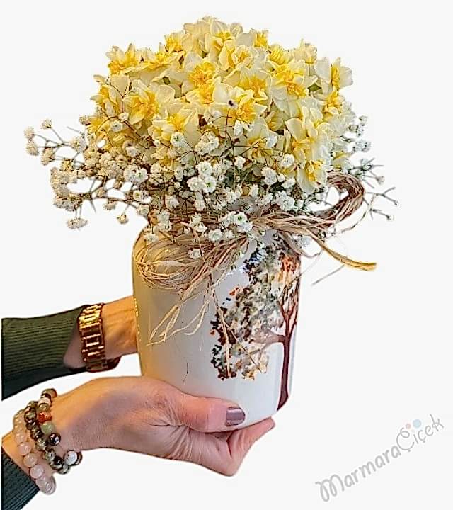 Mis Kokulu Nergis ( Narcissus ) Aranjman