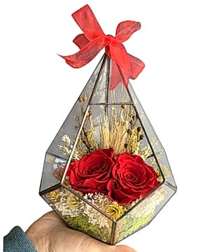 Prizmada Gül Teraryum