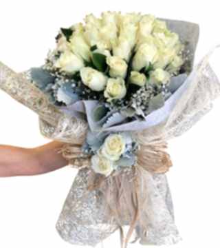 Beyaz Gül İsteme Çiçeği