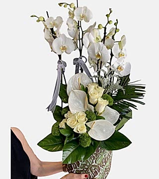 Gül Orkide Aranjmanı