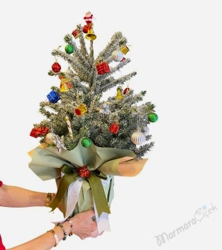 Canlı Yılbaşı Çamı