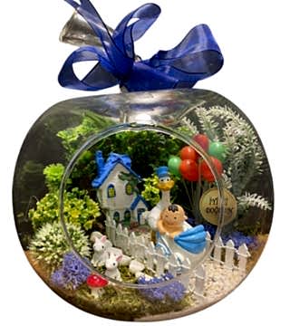 Erkek Bebek Tebrik Teraryumu