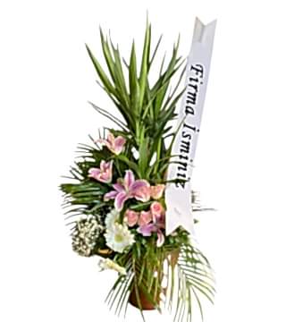  Lilyumlu Yucca Fuar Aranjmanı