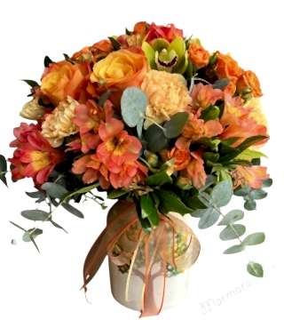 Kış Güneşi Aranjman