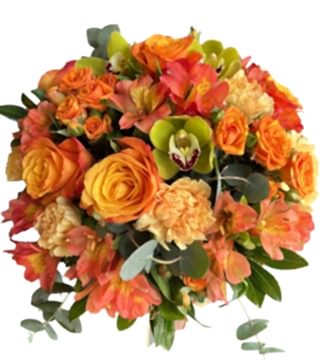 Kış Güneşi Aranjman