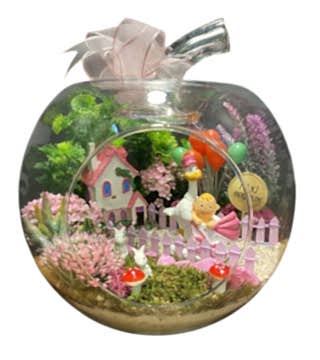 Kız Bebek Tebrik Teraryumu