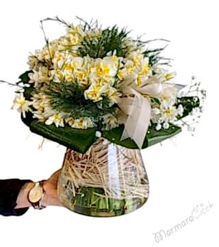 Kokulu Nergis Aranjman