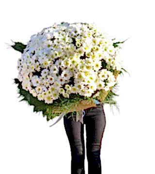 Kucak Dolusu Papatya Buketi