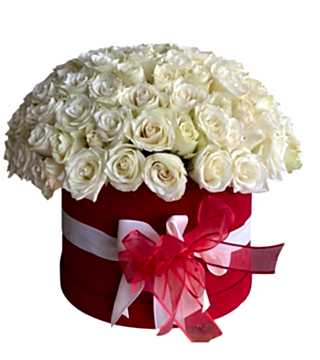 Kutuda 101 Beyaz Gül