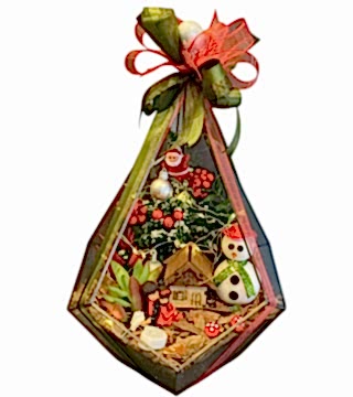 Led Işıklı Kokinalı Yılbaşı Teraryumu