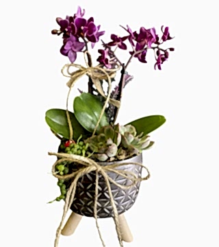 Ayaklı Saksıda Mini Orkide Teraryum 