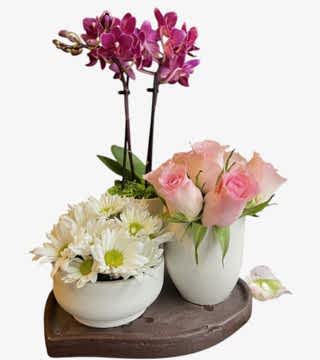 Mini Orkideli Kalp Üçlü Takım