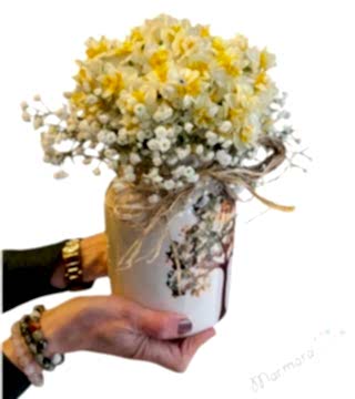 Mis Kokulu Nergis ( Narcissus ) Aranjman