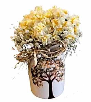 Mis Kokulu Nergis ( Narcissus ) Aranjman