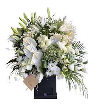 Kutuda Tasarım Beyaz Aranjman 