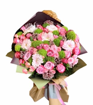 Şık İsteme Çiçeği