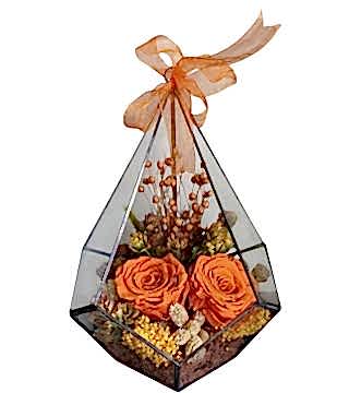 Prizma Camda  Turuncu Solmayan Gül