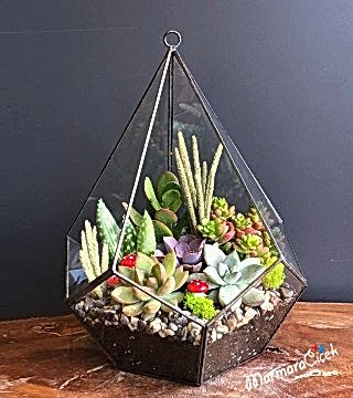Piramit Camda Sukulent Teraryum