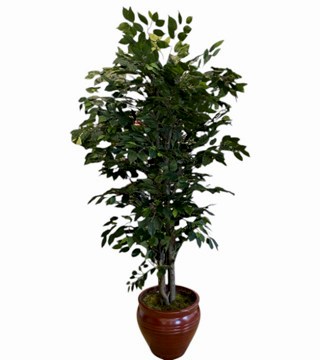 Yapay Benjamin Ağacı