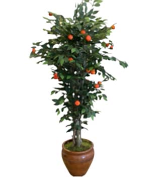 Yapay Mandalina Ağacı